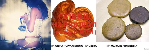 гашик Армянск